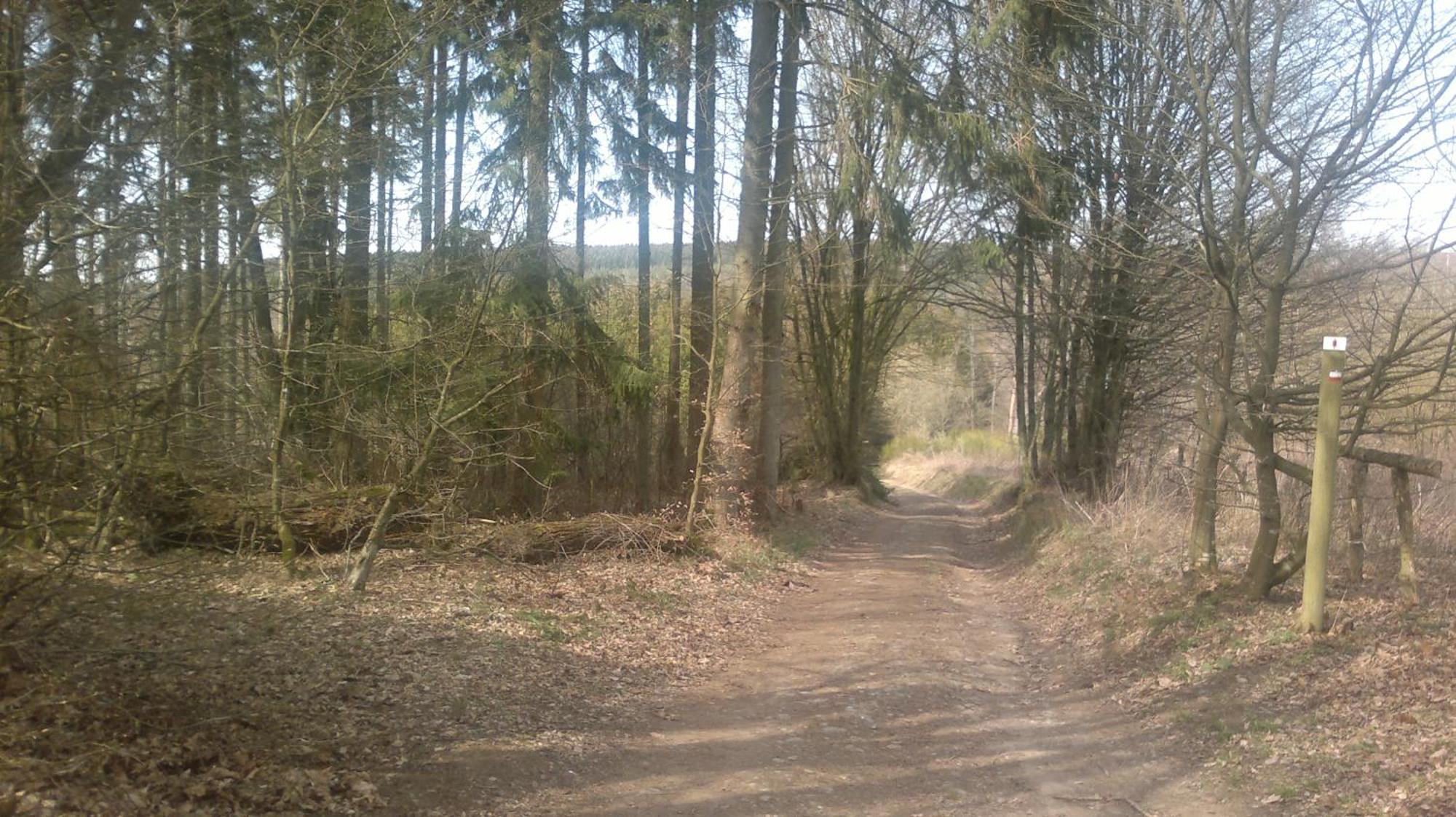 Eduard - Ardennais Houffalize